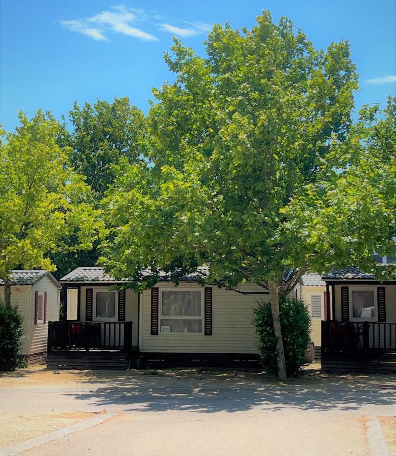 Bungalows Zaragoza Camping Exteriér fotografie