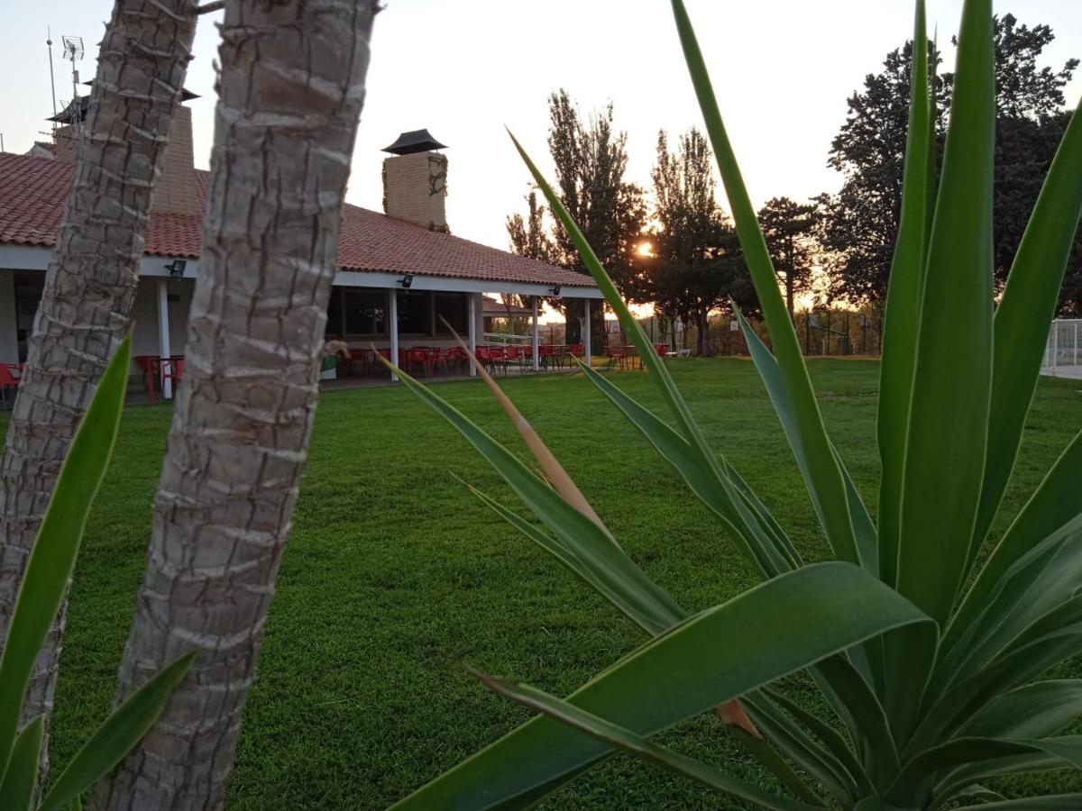 Bungalows Zaragoza Camping Exteriér fotografie