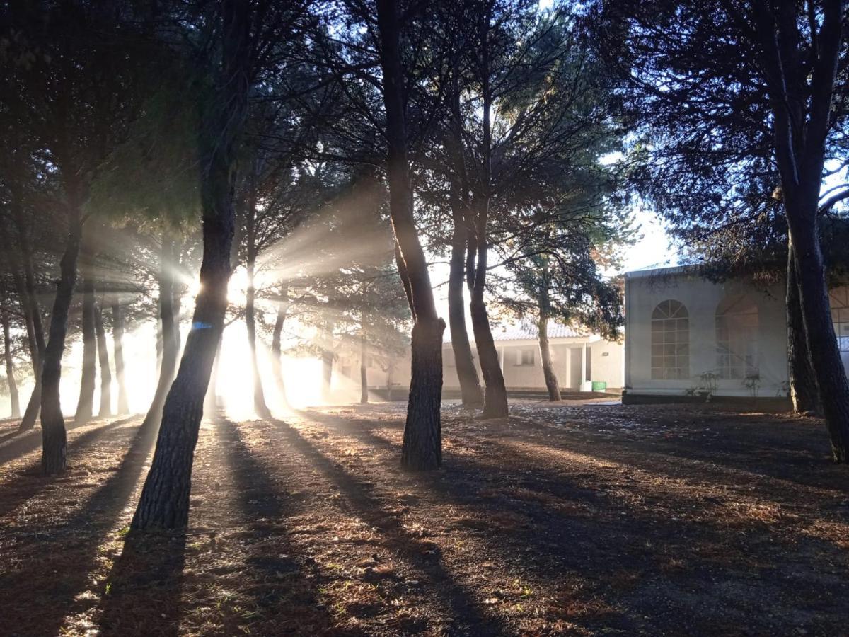 Bungalows Zaragoza Camping Exteriér fotografie