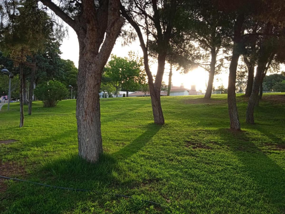 Bungalows Zaragoza Camping Exteriér fotografie